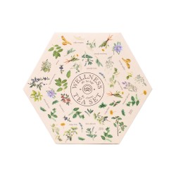 Assortimento di tè benessere | Acorus Tea