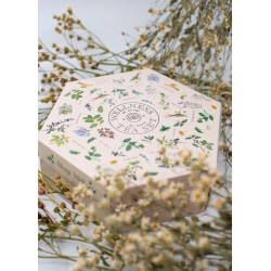 Assortimento di tè benessere | Acorus Tea