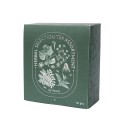 Assortimento di tisane con selezione di erbe