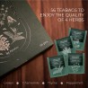 Assortimento di tisane con selezione di erbe | Acorus Tea