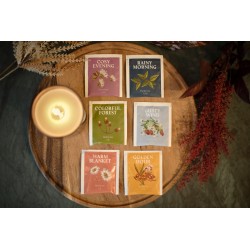 Assortimento di tè dal sapore autunnale | Acorus Tea