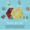Surtido de tés para regalo de cumpleaños | Acorus Tea
