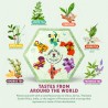 Surtido de tés de viaje vol. I | Acorus Tea