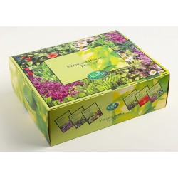 Surtido premium de tés de hierbas | Acorus Tea