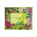 Assortimento premium di tisane naturali