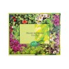 Assortimento premium di tisane naturali | Acorus Tea