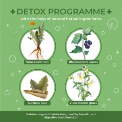 Infusión Detoxoset | Acorus Tea
