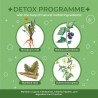 Infusión Detoxoset | Acorus Tea