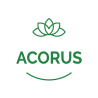 Acorus Tea